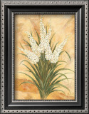 Buy White Surprise at AllPosters.com