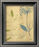 Harmony
