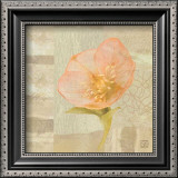 Buy Hellebore III at AllPosters.com