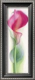 Buy Pink Calla III at AllPosters.com