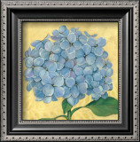 Happiness, Hydrangea