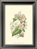 Buy Summer Garden V at AllPosters.com