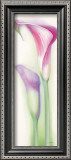 Buy Pink Calla II at AllPosters.com