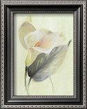 Buy Calla Lily III at AllPosters.com
