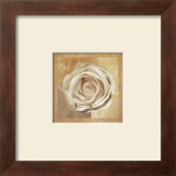 Buy Warm Rose II at AllPosters.com