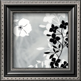 Buy White Shadow at AllPosters.com