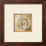 Buy Warm Rose I at AllPosters.com