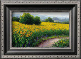 Field of Sunflowers