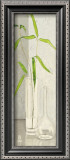Buy Vicinity at AllPosters.com
