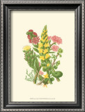 Buy Summer Garden X at AllPosters.com