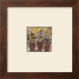 Buy Four Pots of Auriculas at AllPosters.com