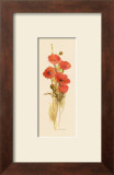 Buy Crimson Poppy at AllPosters.com
