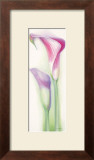 Buy Pink Calla II at AllPosters.com