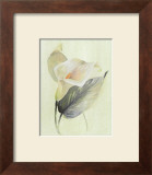 Buy Calla Lily III at AllPosters.com