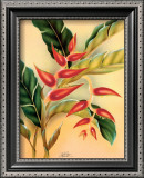 Buy Heliconia at AllPosters.com