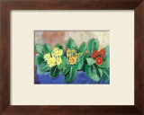 Buy Polyanthus at AllPosters.com