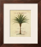 Buy La Botanique at AllPosters.com
