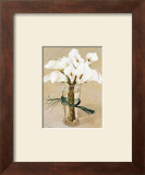Buy Antirinium Bouquet at AllPosters.com