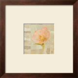Hellebore III