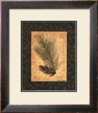Buy White Pine at AllPosters.com