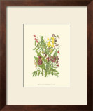 Buy Summer Garden IX at AllPosters.com