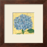 Buy Happiness, Hydrangea at AllPosters.com