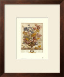 Twelve Months of Flowers, 1730, April