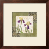 Buy Garden Inspiration II at AllPosters.com