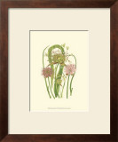 Buy Summer Garden VI at AllPosters.com