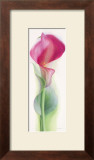 Buy Pink Calla III at AllPosters.com