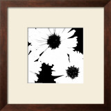 Buy Daisies I at AllPosters.com