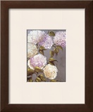 Hortensia Lila