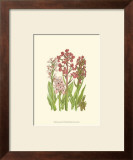Buy Summer Garden VII at AllPosters.com