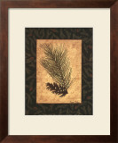 Buy White Pine at AllPosters.com