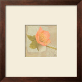 Hellebore I