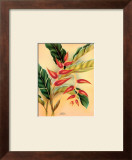 Buy Heliconia at AllPosters.com