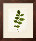 Buy Flirt at AllPosters.com