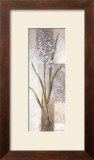 Buy Freesia at AllPosters.com