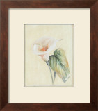 Buy Calla Lily II at AllPosters.com