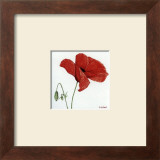 Buy Summertime at AllPosters.com