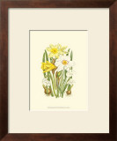 Buy Summer Garden I at AllPosters.com