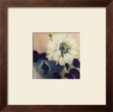 Buy Nature's Blossoms I at AllPosters.com