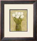 Buy White Tulips in String at AllPosters.com