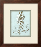 Buy Dussurgey Lilium on Blue at AllPosters.com