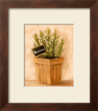 Buy Rosmarinus at AllPosters.com