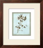 Buy Dussurgey Amaryllis on Blue at AllPosters.com