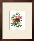 Buy Hibiscus at AllPosters.com