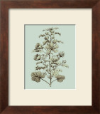 Buy Custom Imperial Munting I at AllPosters.com