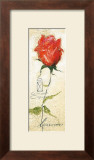 Buy Rose Gabriella at AllPosters.com