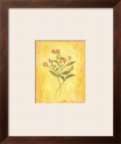 Buy Country Flowers II at AllPosters.com